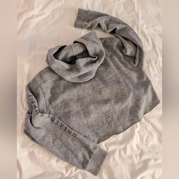 Brixton Cropped Hoodie - Raw Edge Hem - Heather Gray - Size medium - Picture 5 of 6